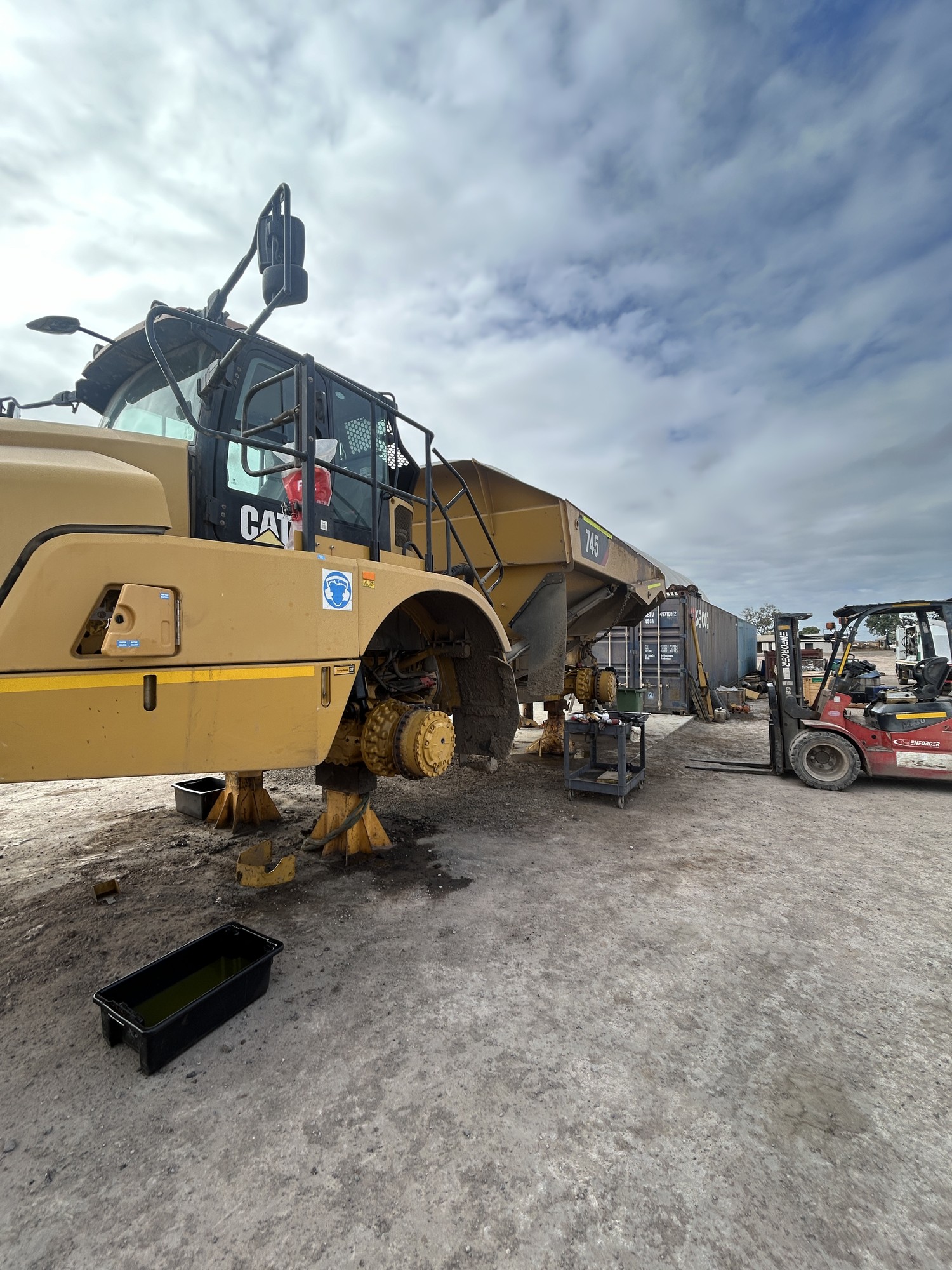 CAT MOXY on site